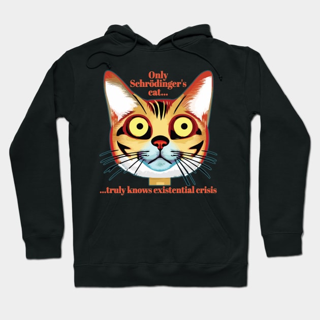 Schrodinger's cat existential crisis Hoodie by Joselo Rocha Art